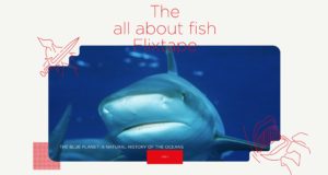 Flixtape du Mercredi : all about fish Flixtape all about fish