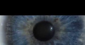 Mémoires de la guerre civile tome 1 est disponible chez Dargaud