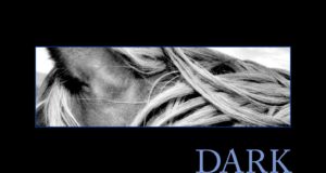 Dark Horse de Craig Johnson Dark Horse