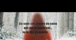 Sur le toit de l’enfer de Ilaria Tuti, bande annonce