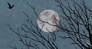 Animabilis, bande annonce de la BD Futuropolis