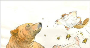 Lancement du projet Noah’s Ark par Black Box Editions