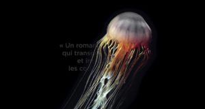 Coups de vieux, un roman noir transgressif